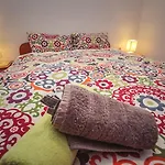 Linda Zambrattia Савудрия